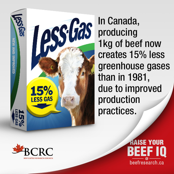 In Canada, producing one kilogram of beef now creates 15% less greenhouse gases than in 1981, due to improved production practices.