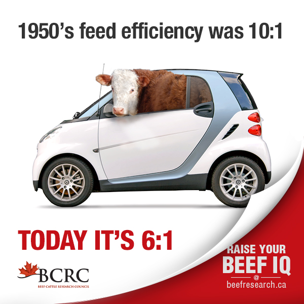 1950's feed efficiency was 10:1. Today it's 6:1.