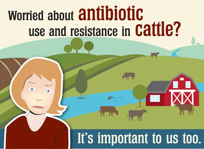 Worried about antibiotic use and resistance in cattle?
