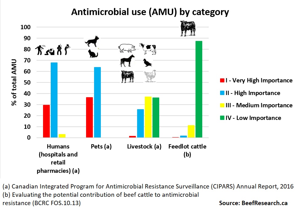 Antimicrobial use humans vs animals vs feedlot cattle