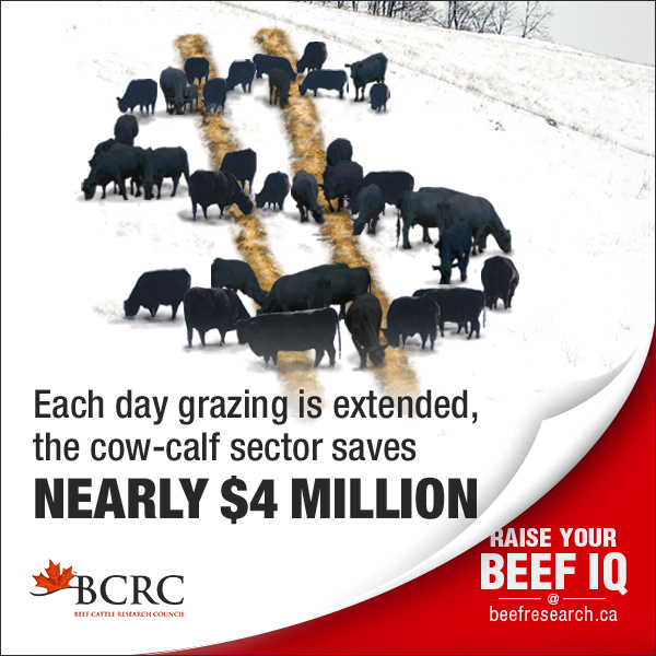 every day grazing is extended saves the cow-calf sector nearly $4 million