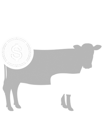 Value of Calving Distribution Decision Making Tool