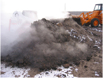 Steam rises as compost is turned in the winter