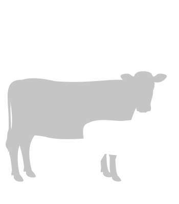 Beef Cattle Research Council - Cow Calf Production Indicators Calculator