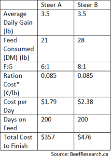 Cattle feed to gain ratio cost example