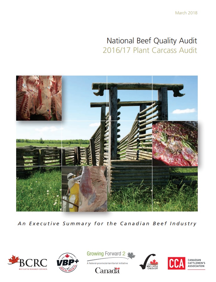 national beef quality audit 2016/17 plant carcass audit results