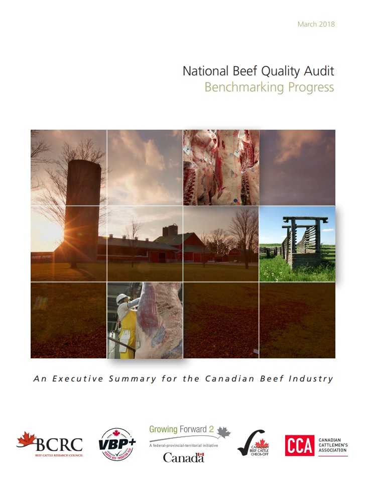 national beef quality audit benchmarking progress