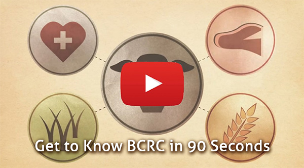 Learn about BCRC